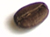 Coffee Bean